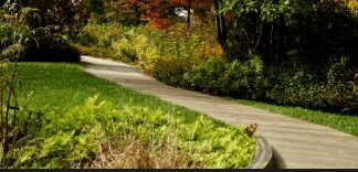 Магия природы: как ландшафтный дизайн преображает обычные сады в произведения искусства