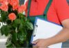 Удобство доставки цветов: почему это лучший способ порадовать близких