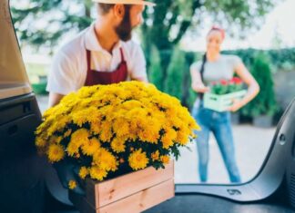 Доставка цветов: 6 причин отказаться от походов по магазинам