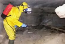 Как проходит обработка подвалов от блох