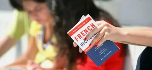 Польза курсов французского языка