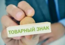 Как защитить бренд в Казахстане: полное руководство по регистрации ТЗ