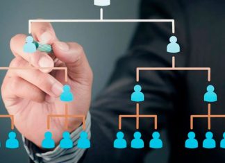 Управление проектной организацией: от структуры к результату