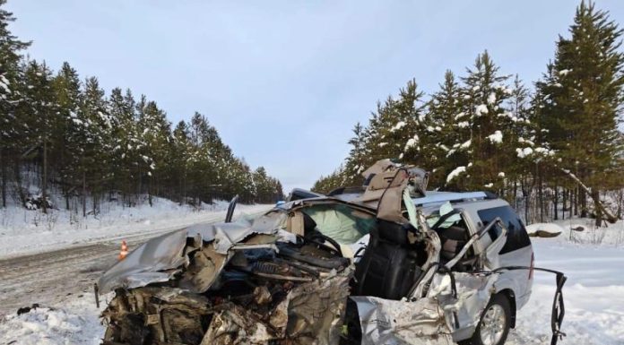 На трассе под Иркутском отца и 15-летнего сына насмерть придавило лесовозом