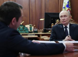 Путин и Чибис обсудили вопросы газификации Мурманской области