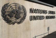 Тринадцать участников COP30 в Белене обратились за медпомощью после пожара