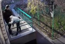 В Одессе мобилизовали мужчину, бросив его собаку привязанной на улице