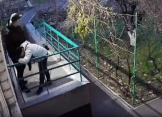 В Одессе мобилизовали мужчину, бросив его собаку привязанной на улице