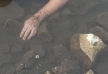 Женщина утонула в перевернувшейся лодке в Подмосковье