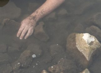 Женщина утонула в перевернувшейся лодке в Подмосковье