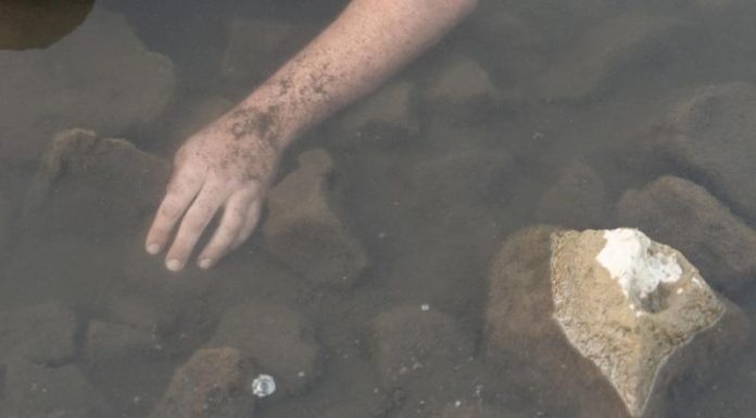 Женщина утонула в перевернувшейся лодке в Подмосковье