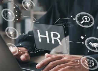 HR система: цифровая основа управления людьми