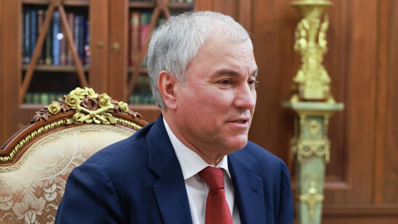 Депутаты изменяют законы, если этого требует время, заявил Володин