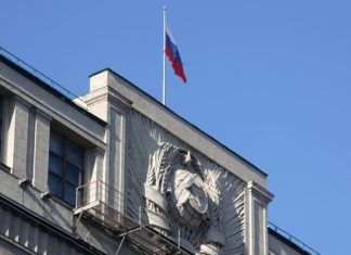 Госдума приняла десять законов по борьбе с киберпреступностью в этом году