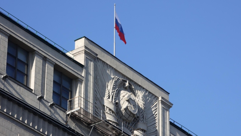 Госдума приняла десять законов по борьбе с киберпреступностью в этом году