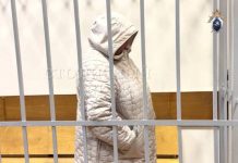 Юрист раскрыла, что грозит лжеакушерке по делу о гибели малыша блогерши Айши