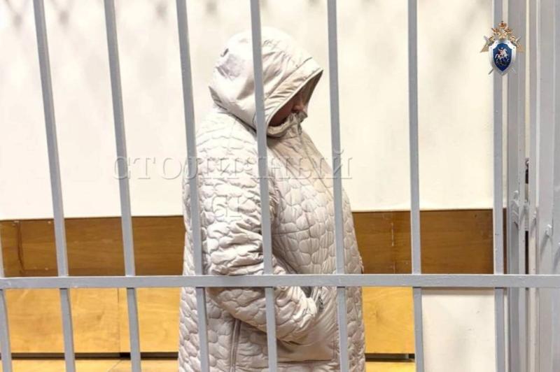 Юрист раскрыла, что грозит лжеакушерке по делу о гибели малыша блогерши Айши