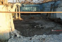 Лев ранен в результате удара дрона ВСУ по зоопарку в Запорожской области