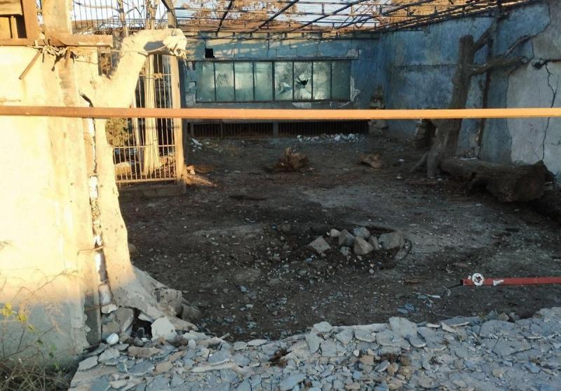 Лев ранен в результате удара дрона ВСУ по зоопарку в Запорожской области