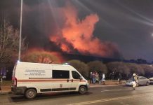 Площадь пожара на рынке в Петербурге достигла 1500 квадратов, есть пострадавший