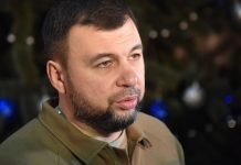 Пушилин рассказал, кто займется вопросами освобожденных территорий в ДНР