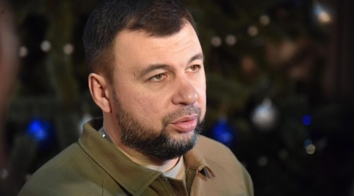 Пушилин рассказал, кто займется вопросами освобожденных территорий в ДНР