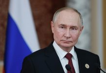 Путин ежедневно просматривает обращения на прямую линию