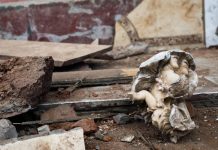 Умерла 15-летняя девочка, раненная при ударе ВСУ по Севастополю 30 ноября