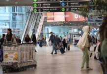 В аэропортах Владикавказа, Грозного и Магаса отменили план «Ковёр»