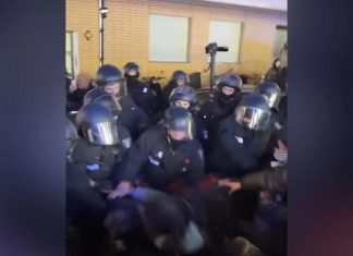 В Берлине на демонстрации пострадали 8 полицейских, задержаны 18 человек