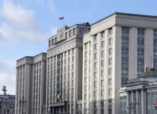 В ГД внесли проекты о системе декларирования доходов чиновников