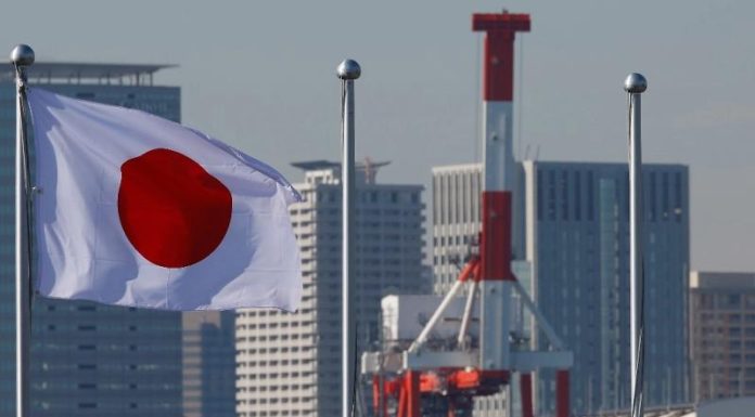 В Японии в результате землетрясения пострадали минимум семь человек