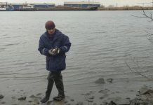 В Ростове-на-Дону спасатели вызволили собаку и её слепого щенка из ледяной реки