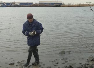 В Ростове-на-Дону спасатели вызволили собаку и её слепого щенка из ледяной реки