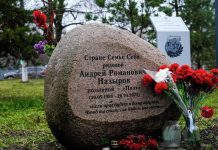 Воробьев доложил Путину о развитии социальной сферы в Подмосковье