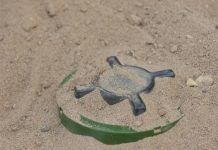 ВСУ минируют пути эвакуации мирных жителей из Димитрова