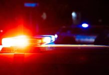 Автобус врезался в препятствие на шоссе в Подмосковье, пострадали четыре человека