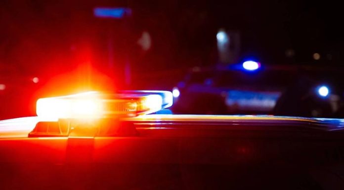 Автобус врезался в препятствие на шоссе в Подмосковье, пострадали четыре человека