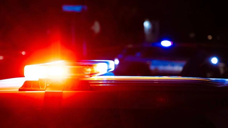 Автобус врезался в препятствие на шоссе в Подмосковье, пострадали четыре человека