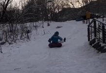 Новогоднее катание на ватрушке обернулось для москвички встречей с деревом и сломанным позвонком