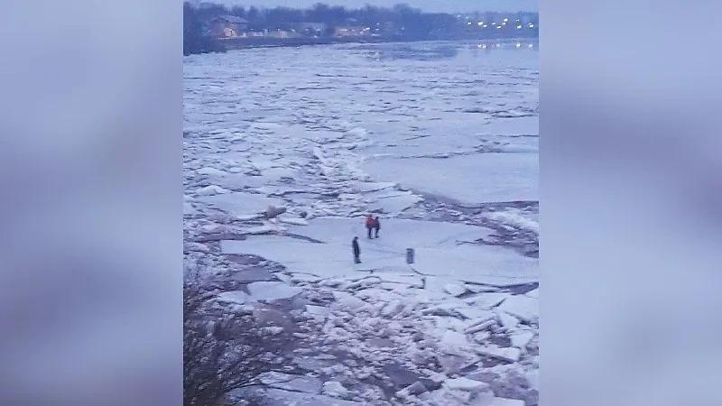 В Новгородской области сотрудники МЧС сняли со льдины трёх школьников и собаку